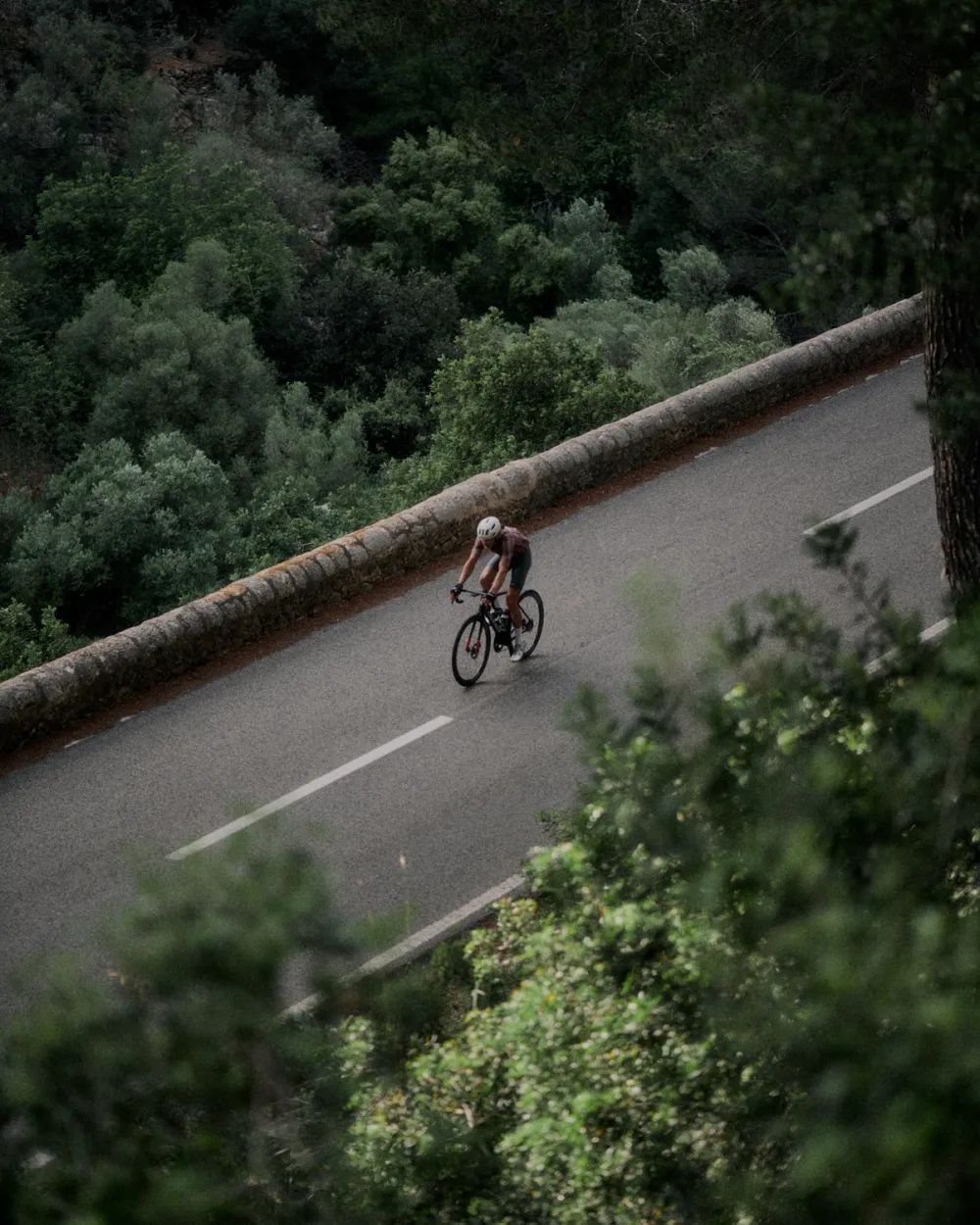 Rider descending a forest road at speed